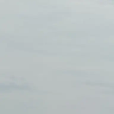 Profile image of 永瀬廉