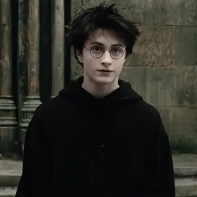 Profile image of Harry James Potter