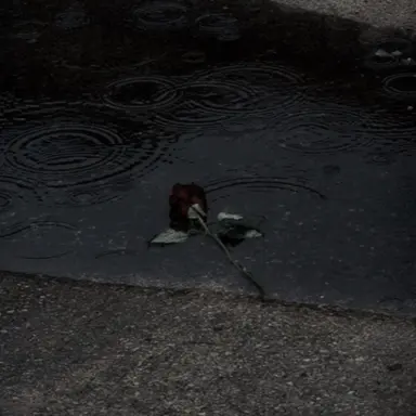 Profile image of 정하준