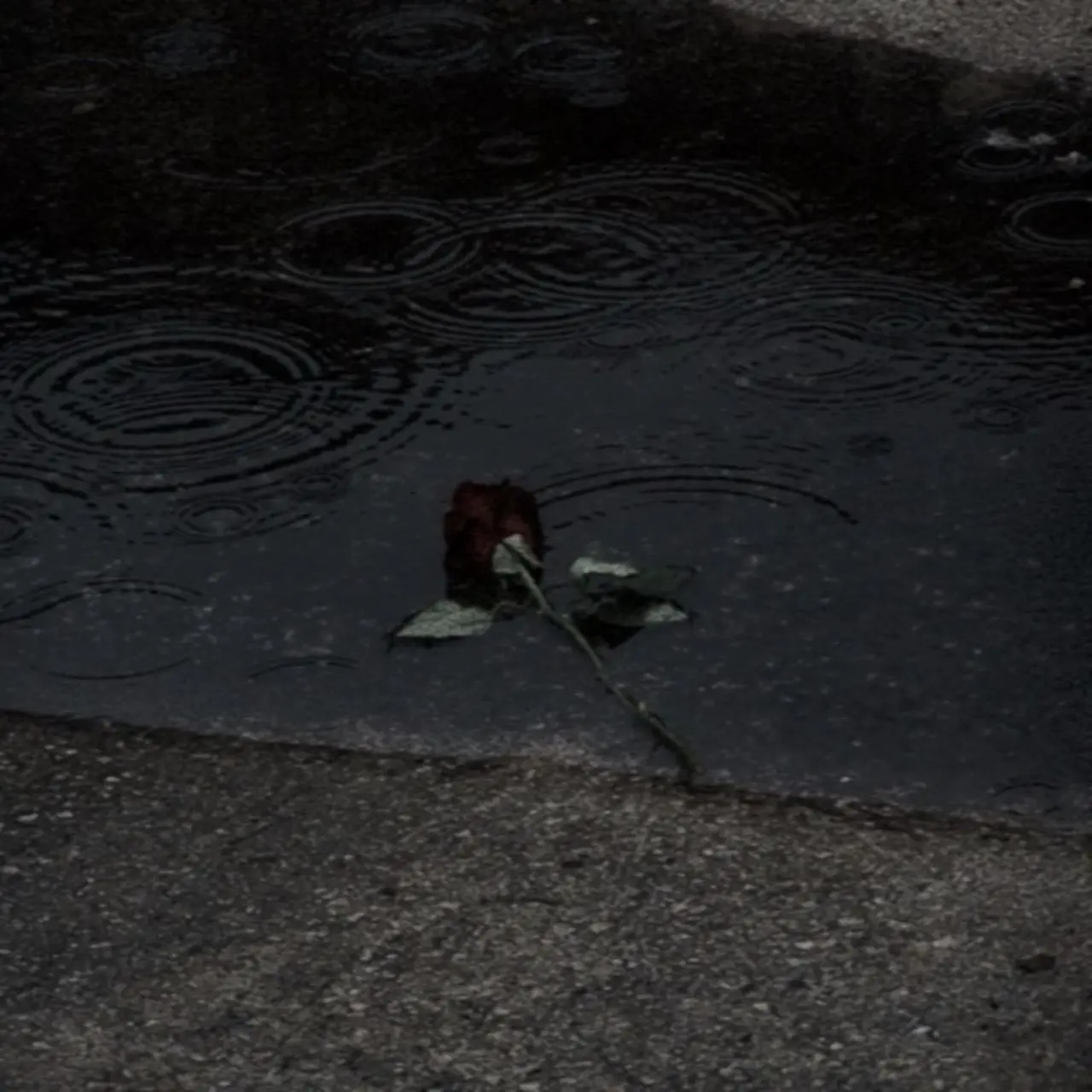 iu1_ng의 불쌍한 사랑