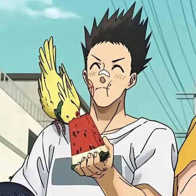 Profile image of 마시모 헤이스케