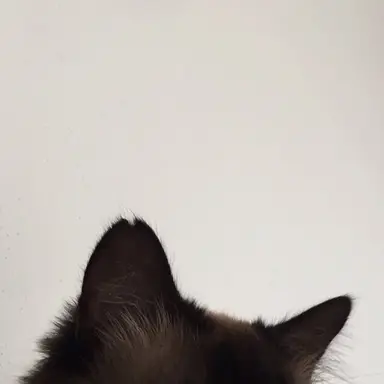 Profile image of じゅん