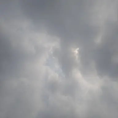 Profile image of 류하람