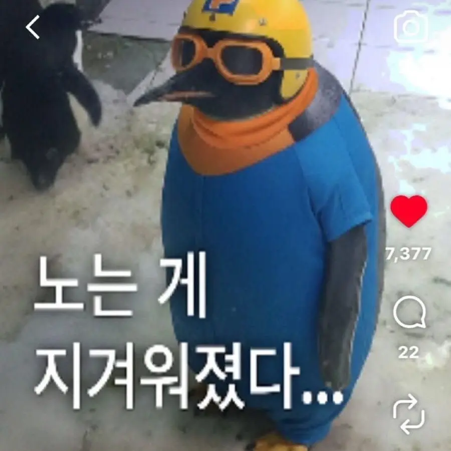 SlowSteel3643의 아무것도 하기 싫은 나이