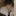 나원우