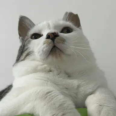 Profile image of 달두