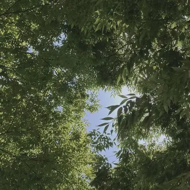 Profile image of 쪼만