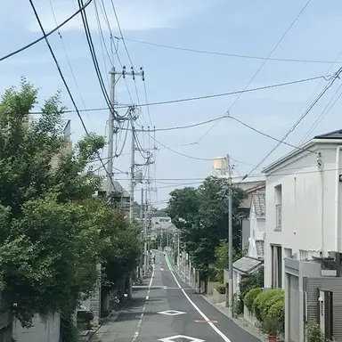 Profile image of 티푸