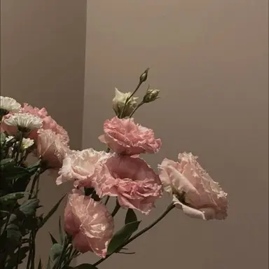 Profile image of 혜민