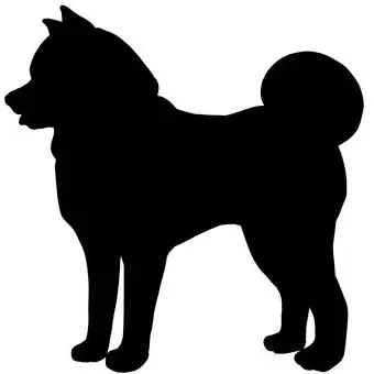Profile image of 犬