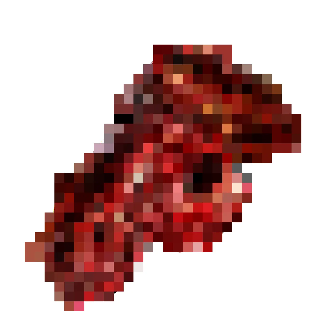 DXD의 人肉.