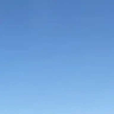 Profile image of 잭