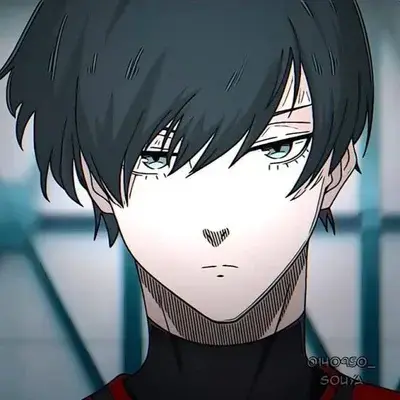 DampDew5775의 Itoshi Rin bully