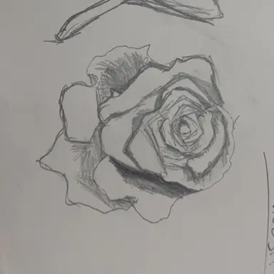 Profile image of 怜_名前は変えても可