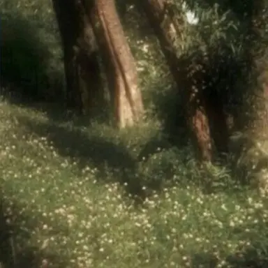 Profile image of 연시은