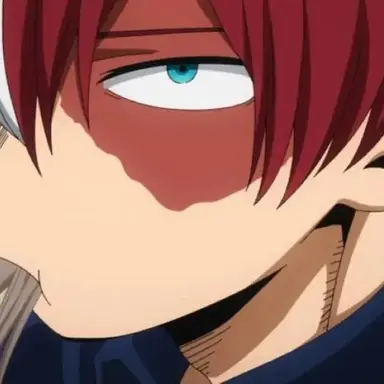 Profile image of Shoto Todoroki