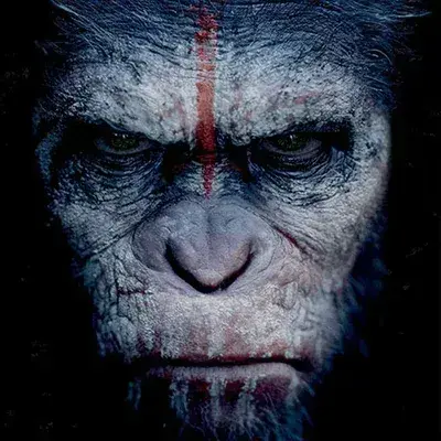 MauveStore9380의 Planet of the apes