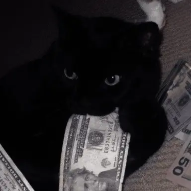 Profile image of 한 빈