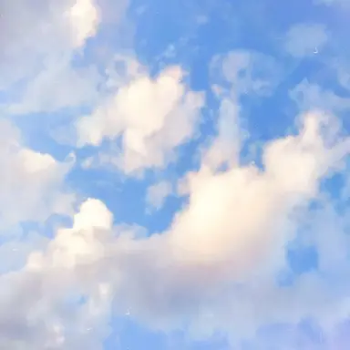 Profile image of 잠뜰