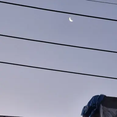 Profile image of DUWBIOQN