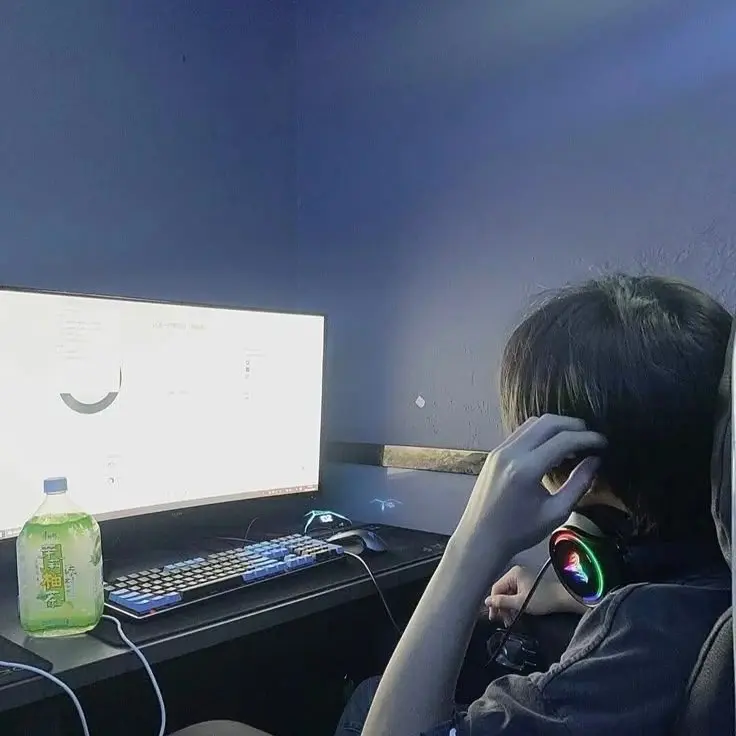 CloseQuest4080의 Streamer Fiancé