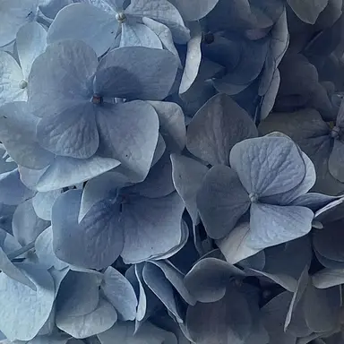 Profile image of 甲斐田晴