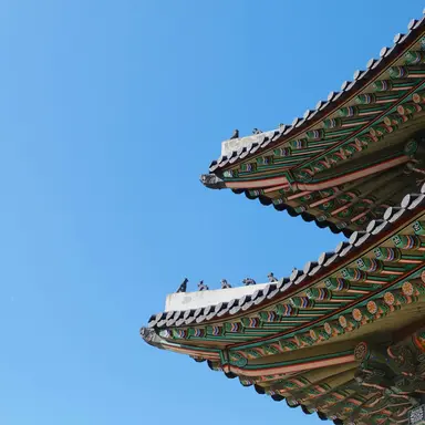 Profile image of 나레이터