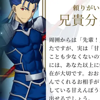 Profile image of クー・フーリン