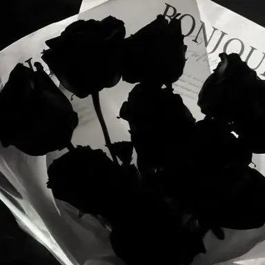 Profile image of 신재범