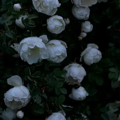 Profile image of 박도현