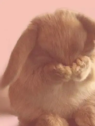 Riki_01124의 じょしゅあ