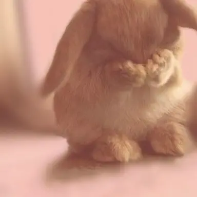 Profile image of しゅあ