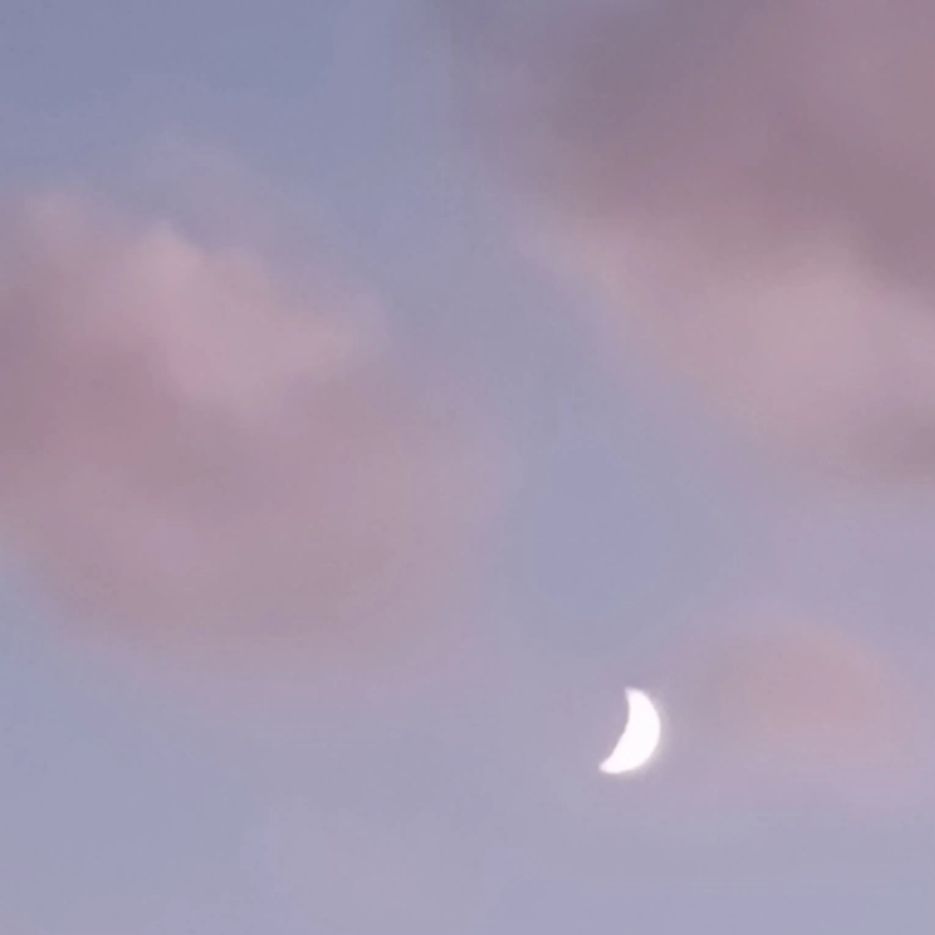 AgedSign8763의 셋쇼마루이누야샤가 나의오빠