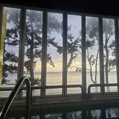 Profile image of 최서정