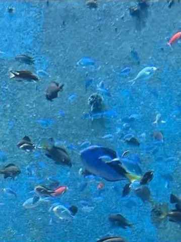 Dream_Love의 김민정