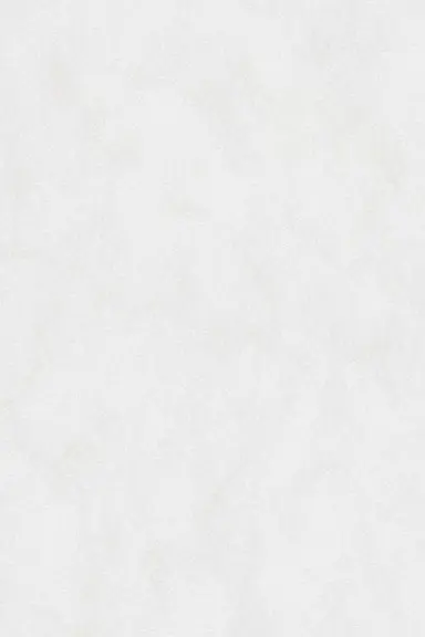 Profile image of 翔