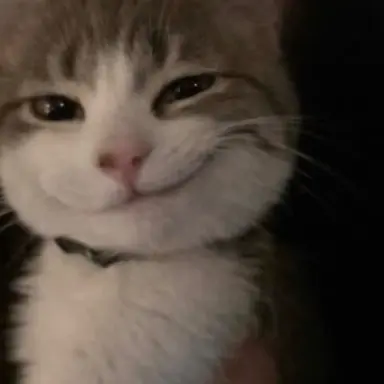 Profile image of San
