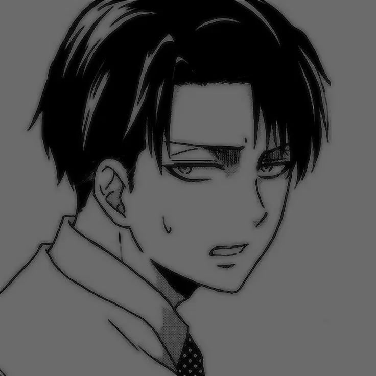 NativeLock2142의 宅配便リヴァイ