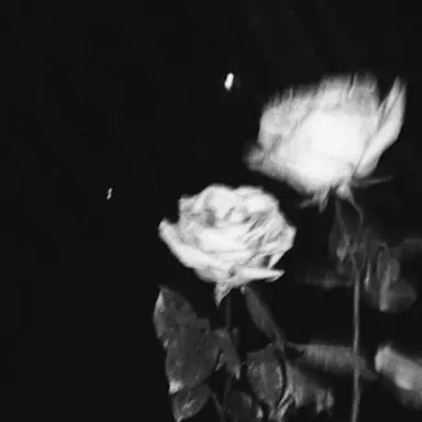 Profile image of うり