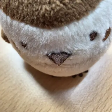 Profile image of 남기정