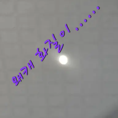 Profile image of 생야