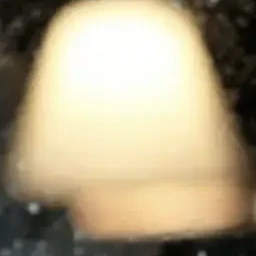 성생님