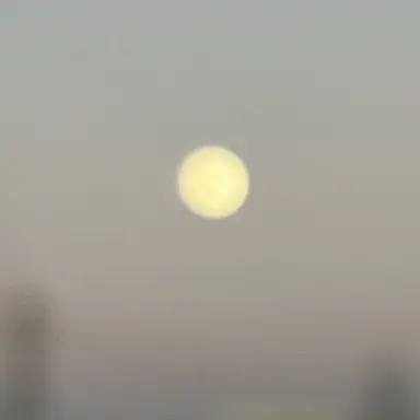 Profile image of ニフティ