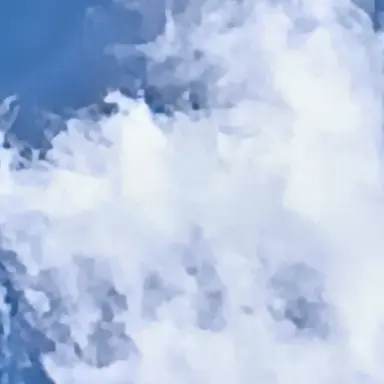 Profile image of 林