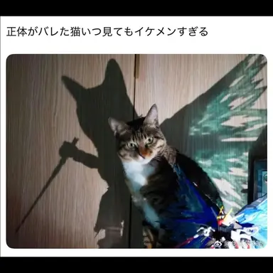 Profile image of ナレーター