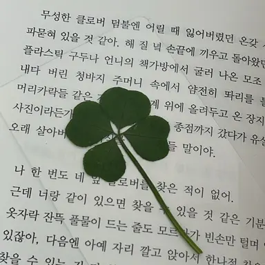 Profile image of 정공룡