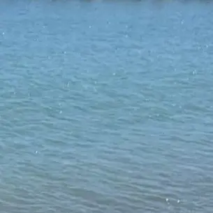 Profile image of 伊野尾慧