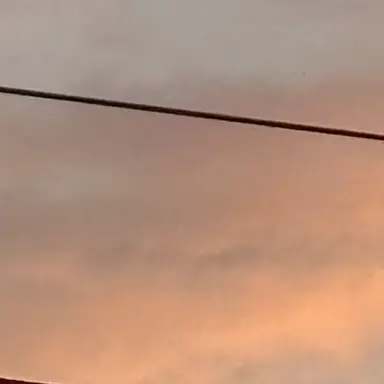 Profile image of 有岡大貴