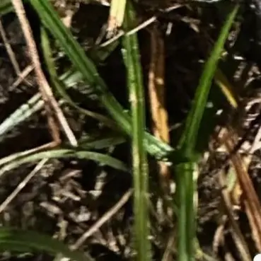 Profile image of 薮宏太