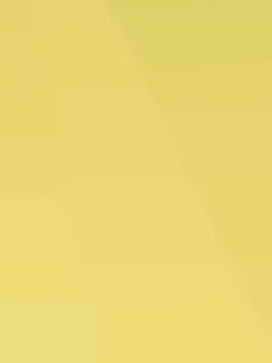 yumejoshi의 実況者夫婦